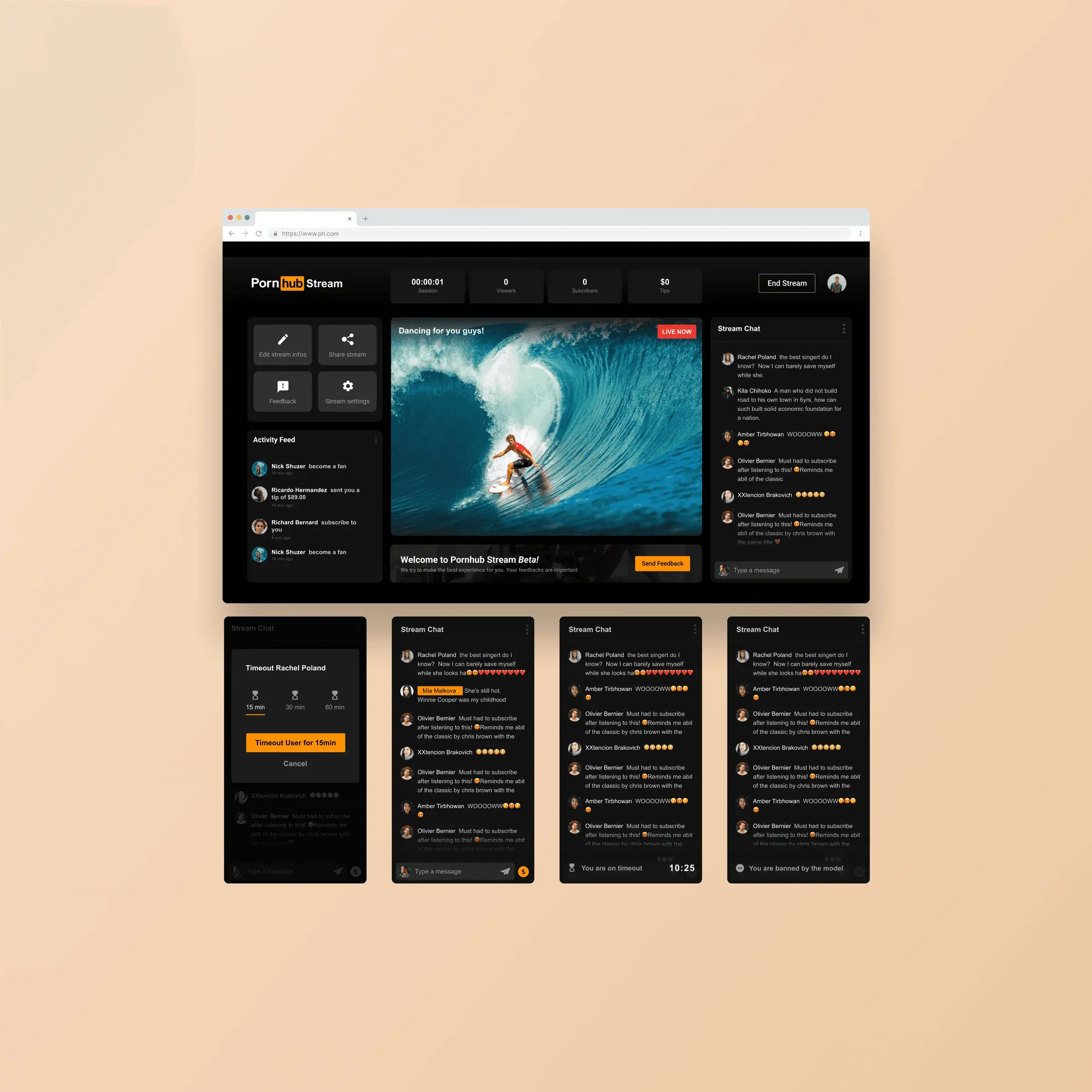 Pornhub Premium and player